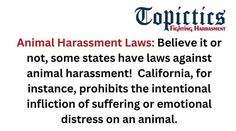 Legal Foundations of Anti-Harassment Laws in the U.S. 2
