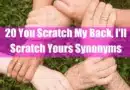 20 You Scratch My Back, I'll Scratch Yours Synonyms Featured Image