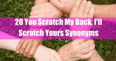 20 You Scratch My Back, I'll Scratch Yours Synonyms Featured Image