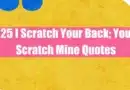 25 I Scratch Your Back You Scratch Mine Quotes Featured Image