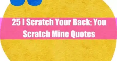 25 I Scratch Your Back You Scratch Mine Quotes Featured Image