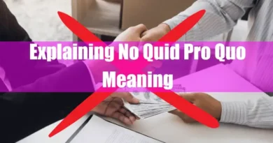 Explaining No Quid Pro Quo Meaning Featured Image