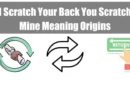 I Scratch Your Back You Scratch Mine Quotes Meaning Origins Featured Image