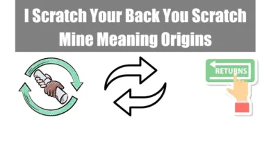 I Scratch Your Back You Scratch Mine Quotes Meaning Origins Featured Image