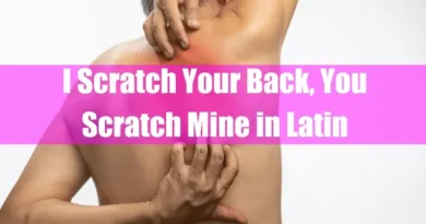 I Scratch Your Back; You Scratch Mine in Latin Featured Image
