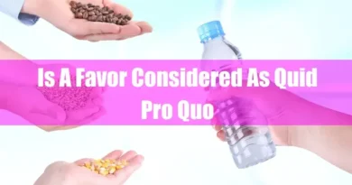 Is A Favor Considered As Quid Pro Quo Featured Image