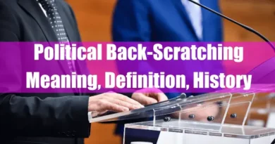 Political Back-Scratching Meaning Featured Image