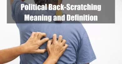 Political Back-Scratching Meaning and Definition Featured Image