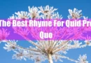 The Best Rhyme For Quid Pro Quo Featured Image