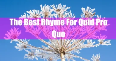 The Best Rhyme For Quid Pro Quo Featured Image
