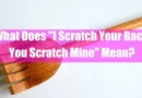 What Does "I Scratch Your Back, You Scratch Mine" Mean Featured Image