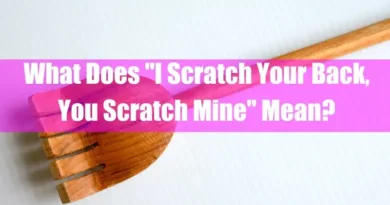 What Does "I Scratch Your Back, You Scratch Mine" Mean Featured Image
