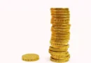 Can Quid Be Plural Featured Image