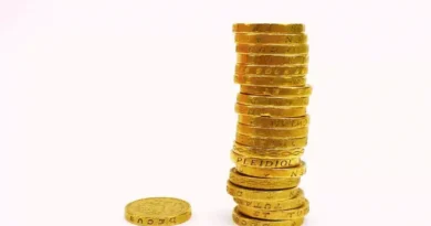 Can Quid Be Plural Featured Image