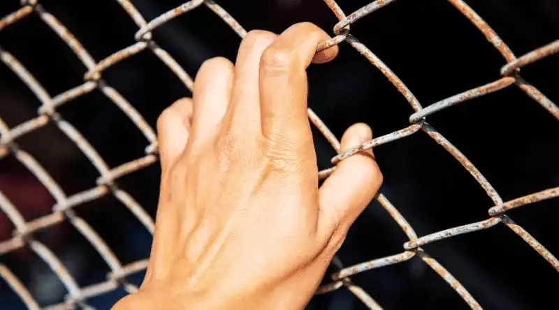 Consequences of Engaging in Illegal Quid Pro Quo
